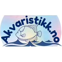 akvarisitkk_logo_200_delcos