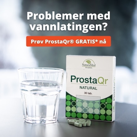 ProstaQr kan du prøve gratis i 30 dager