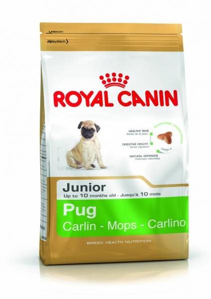 Royal Canin Pug Puppy 1