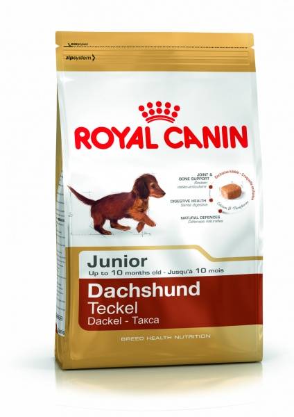 Royal Canin Dachshund Junior 1