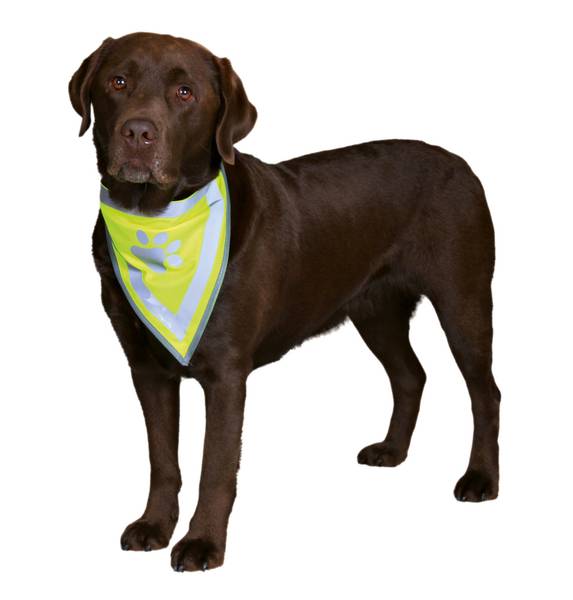 Gul refleks bandana for hund