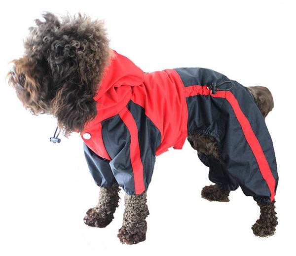 God regndress for hund - parkdress