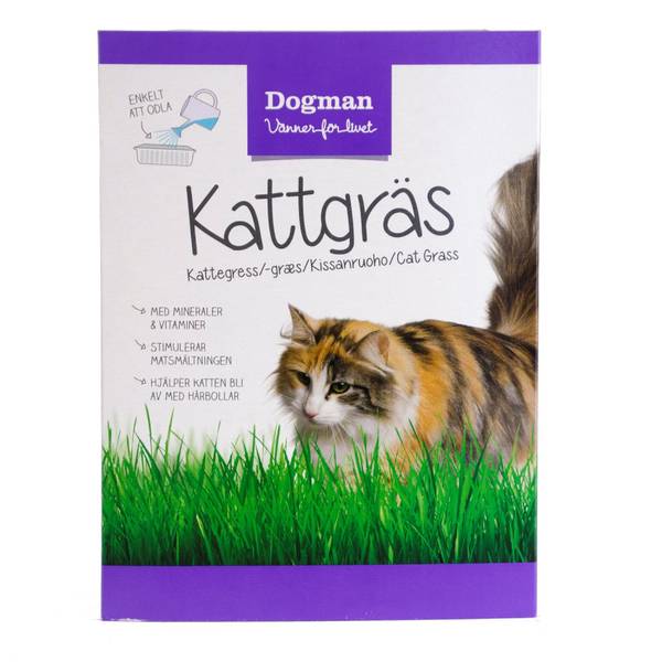 Boks med kattegress