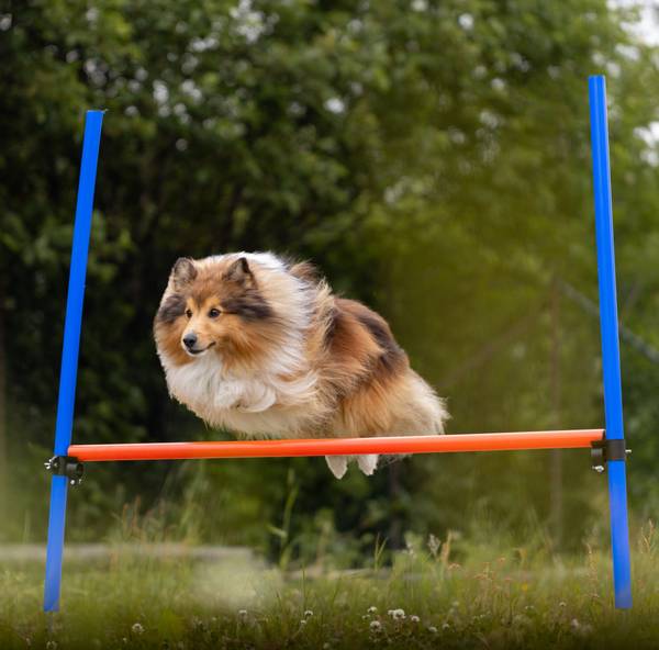 Agility Hinder