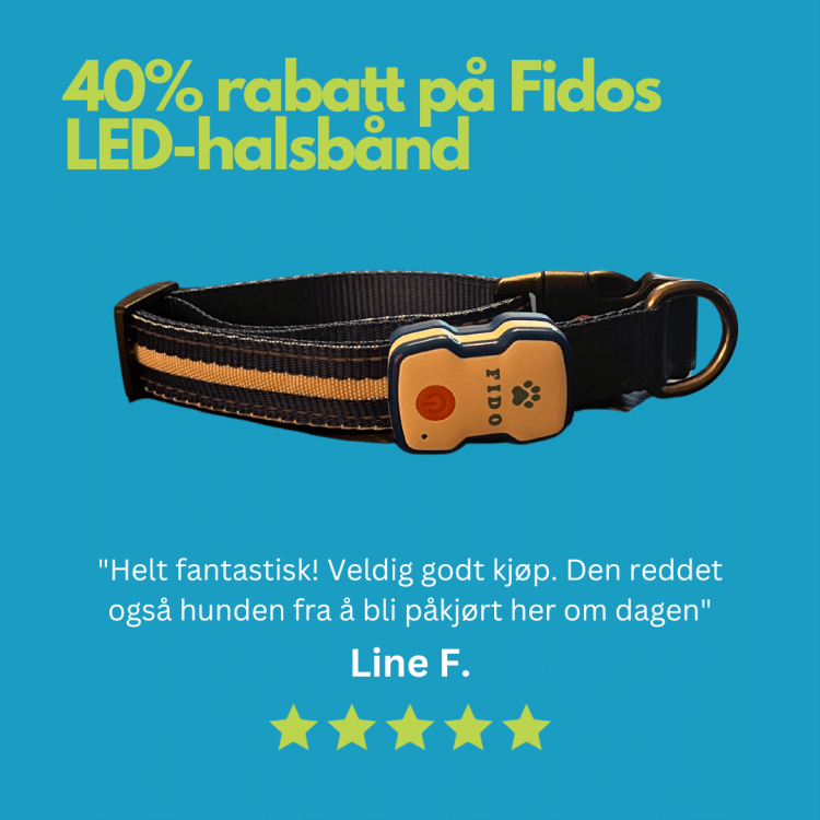 Fido rabattkode - 40% rabatt på Fidos 5-stjernes LED-halsbånd