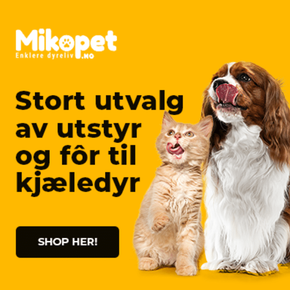 Mikopet tilbud og rabattkoder